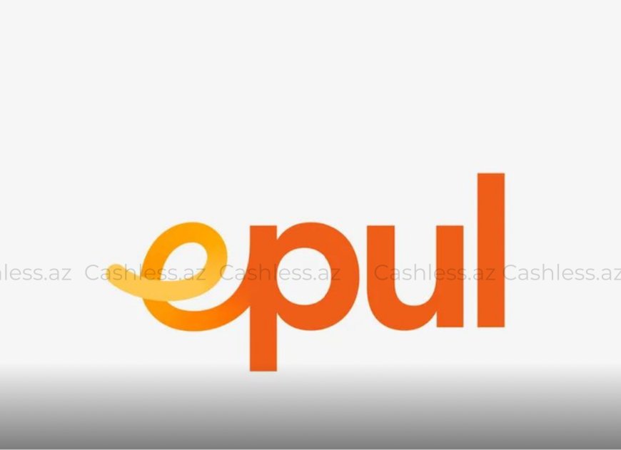 PAYSİS MMC-nin fəaliyyəti dayandırıldı